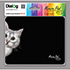 PM-H15 Cat thumbnail